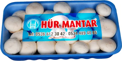 Hürmantar Ekonomik Mantar 1000 gr