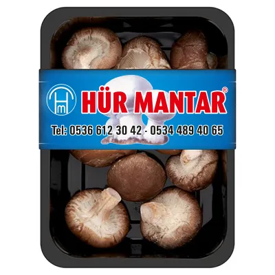 Hürmantar Shiitake Mantarı